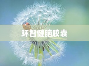 环智健脑胶囊