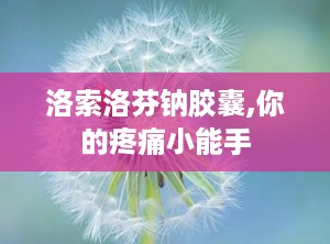洛索洛芬钠胶囊,你的疼痛小能手