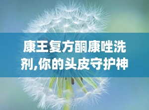 康王复方酮康唑洗剂,你的头皮守护神
