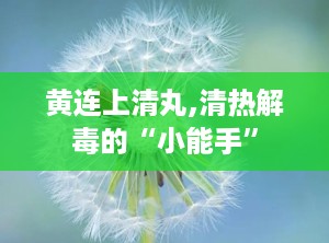 黄连上清丸,清热解毒的“小能手”