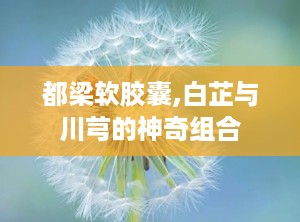 都梁软胶囊,白芷与川芎的神奇组合