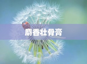 麝香壮骨膏