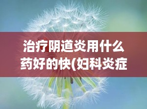 治疗阴道炎用什么药好的快(妇科炎症用啥药治疗最好)