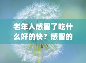 老年人感冒了吃什么好的快？感冒的老人适合吃什么