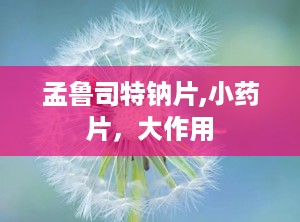 孟鲁司特钠片,小药片，大作用