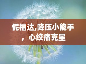 伲福达,降压小能手，心绞痛克星