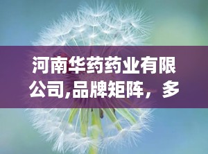 河南华药药业有限公司,品牌矩阵，多面开花