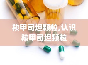 羧甲司坦颗粒,认识羧甲司坦颗粒