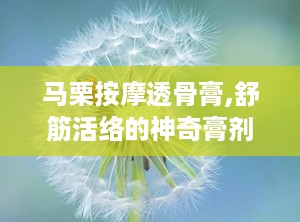 马栗按摩透骨膏,舒筋活络的神奇膏剂