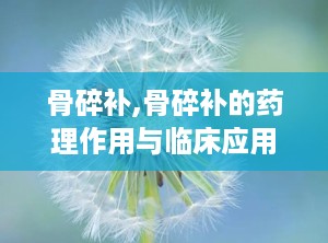 骨碎补,骨碎补的药理作用与临床应用解析