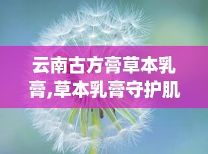 云南古方膏草本乳膏,草本乳膏守护肌肤健康