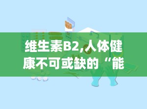 维生素B2,人体健康不可或缺的“能量守护者”