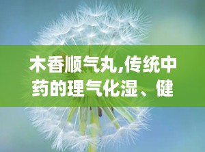 木香顺气丸,传统中药的理气化湿、健脾和胃之道