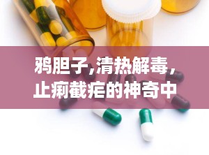 鸦胆子,清热解毒，止痢截疟的神奇中药