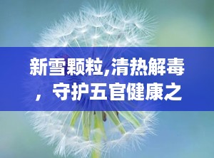新雪颗粒,清热解毒，守护五官健康之选