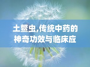 土鳖虫,传统中药的神奇功效与临床应用