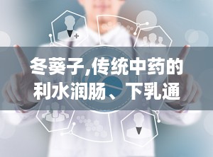 冬葵子,传统中药的利水润肠、下乳通乳之宝