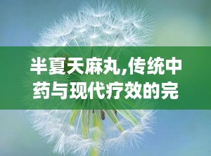 半夏天麻丸,传统中药与现代疗效的完美结合