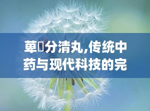 萆薢分清丸,传统中药与现代科技的完美融合