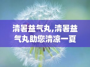 清暑益气丸,清暑益气丸助您清凉一夏