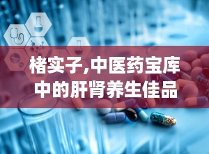 楮实子,中医药宝库中的肝肾养生佳品