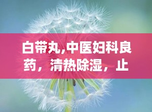 白带丸,中医妇科良药，清热除湿，止带调经