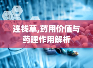 连钱草,药用价值与药理作用解析
