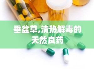 垂盆草,清热解毒的天然良药