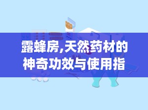 露蜂房,天然药材的神奇功效与使用指南