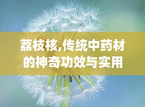荔枝核,传统中药材的神奇功效与实用指南