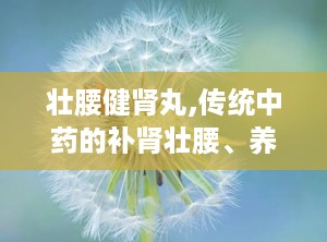 壮腰健肾丸,传统中药的补肾壮腰、养血祛风湿之道