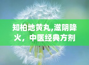 知柏地黄丸,滋阴降火，中医经典方剂的现代应用