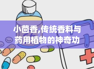 小茴香,传统香料与药用植物的神奇功效