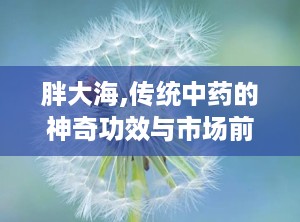 胖大海,传统中药的神奇功效与市场前景