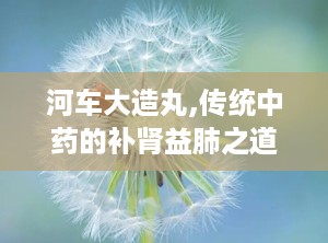 河车大造丸,传统中药的补肾益肺之道