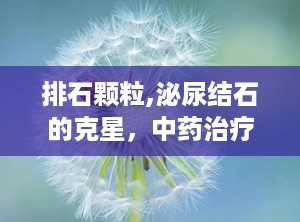 排石颗粒,泌尿结石的克星，中药治疗新选择