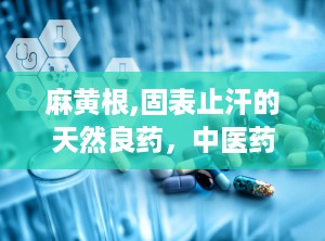 麻黄根,固表止汗的天然良药，中医药宝库中的瑰宝