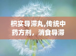 枳实导滞丸,传统中药方剂，消食导滞，清热祛湿的神奇疗效