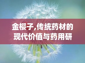 金樱子,传统药材的现代价值与药用研究