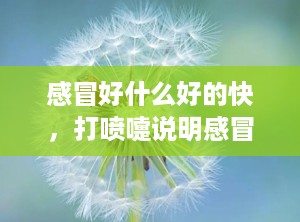 感冒好什么好的快，打喷嚏说明感冒快好了