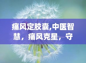 痛风定胶囊,中医智慧，痛风克星，守护您的关节健康