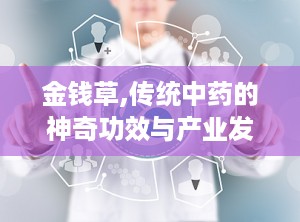 金钱草,传统中药的神奇功效与产业发展探析