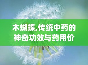 木蝴蝶,传统中药的神奇功效与药用价值解析