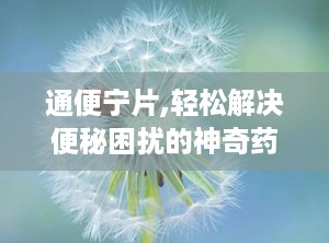 通便宁片,轻松解决便秘困扰的神奇药物