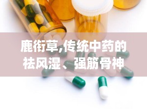 鹿衔草,传统中药的祛风湿、强筋骨神奇功效