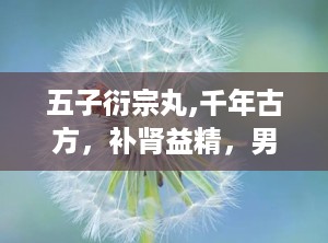 五子衍宗丸,千年古方，补肾益精，男性健康良药
