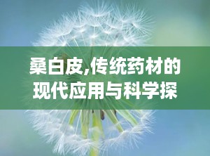 桑白皮,传统药材的现代应用与科学探索