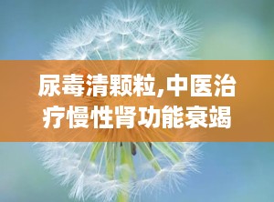 尿毒清颗粒,中医治疗慢性肾功能衰竭的神奇疗效