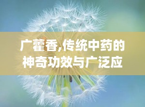 广藿香,传统中药的神奇功效与广泛应用