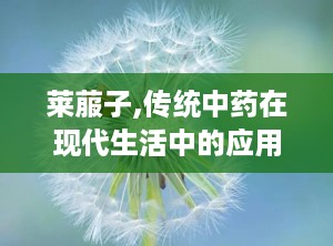 莱菔子,传统中药在现代生活中的应用与价值